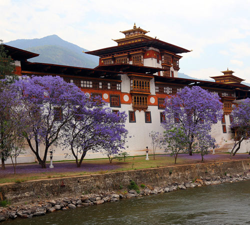 Marvelous Bhutan Tour